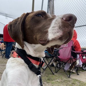 Fundraising Page: Jordan Hunt